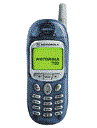 Best available price of Motorola T190 in Brunei