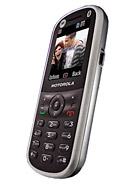 Best available price of Motorola WX288 in Brunei