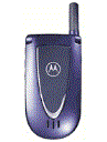 Best available price of Motorola V66i in Brunei